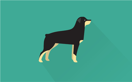 rottweiler vector flat illustration clean and simple styleのイラスト素材