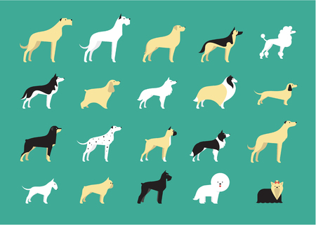 various dog breeds modern  illustration flat styleのイラスト素材