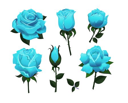 Set of decorative blue roses isolated on white background.Colorful vector roses for invitations, greeting cards, posters etc.のイラスト素材