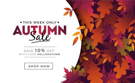 Sale banner with foliage for autumn promotions vector illustration. Profitable proposition save 10 percent this week only. Landing page with fall leaves and shop now button. Advertising conceptのイラスト素材
