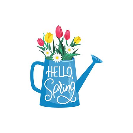 Blooming flowers in watering can with hello spring text vector illustration. Greeting card with colourful fresh bouquet cartoon design. Celebration concept. Isolated on whiteのイラスト素材