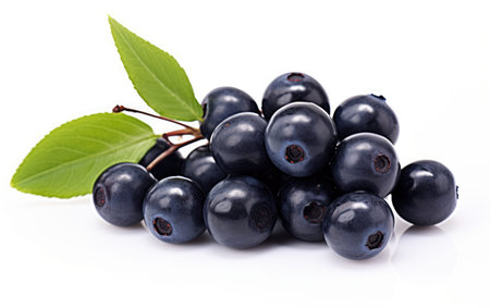 A Cluster of Huckleberries Isolated on White Background. Ai generatedの素材