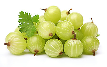 Isolated Gooseberries on White Backgroundの素材