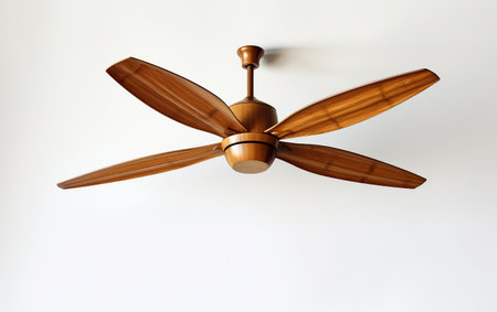 Bamboo Ceiling Fan with Transparent Backgroundの素材