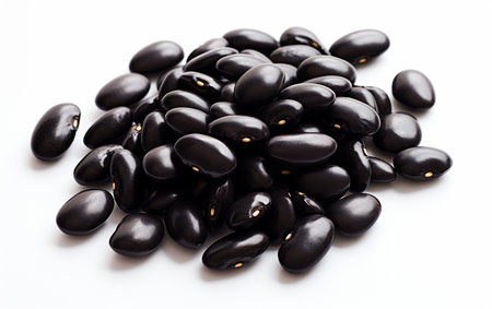 Black Beans White Backgroundの素材