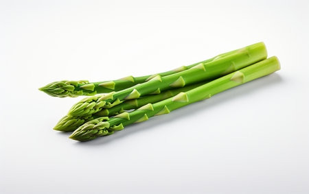 Asparagus on See-Through Surfaceの素材