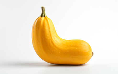 Butternut Squash Against Transparencyの素材