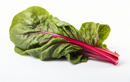 Chard Set on a Transparent Baseの素材