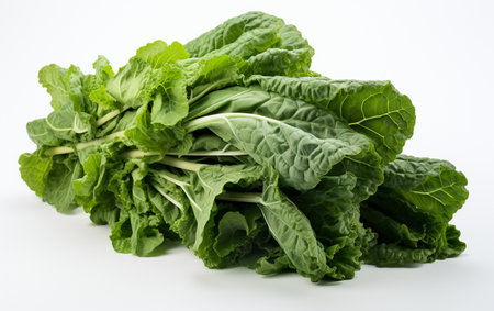 Collard Green against Clear Backgroundの素材