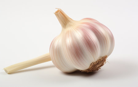 Garlic Displayed Transparentlyの素材