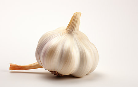 Garlic Against Clear Backgroundの素材