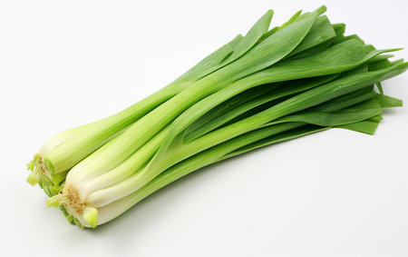 Leek Set on a Transparent Canvasの素材