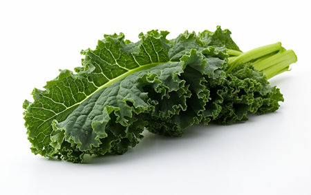 Kale Set on a Transparent Baseの素材