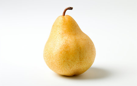 Asian Pear on Clear Backgroundの素材