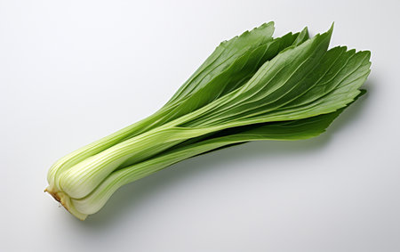 Leek Greenery on a See-Through Surfaceの素材