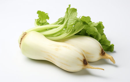 Daikon Radish on a See-Through Canvasの素材