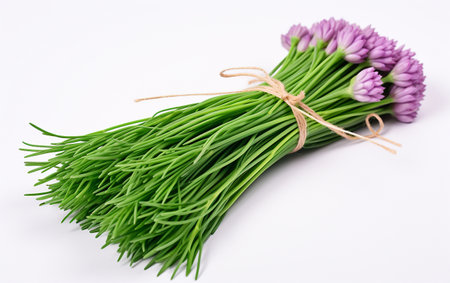 Chives with Transparencyの素材