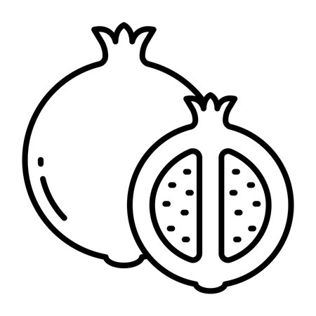 A beautiful design icon of pomegranateのイラスト素材