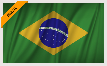 National flag of Brazil - waving editionのイラスト素材