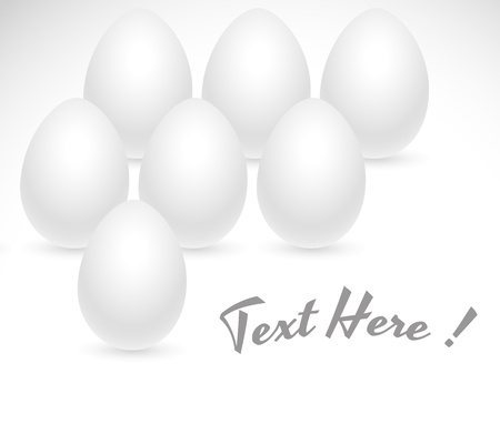 White Eggs Backgroundのイラスト素材