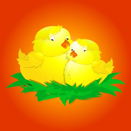 Cute Baby Chickenのイラスト素材