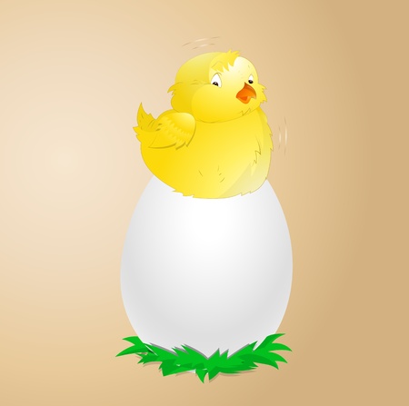 Yellow Chick on Eggのイラスト素材