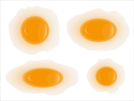 Vector Illustration of Egg Yolkのイラスト素材