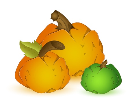 Set of pumpkinsのイラスト素材