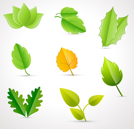 Vectors Leavesのイラスト素材