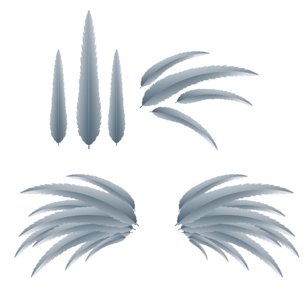 Vector Wingsのイラスト素材