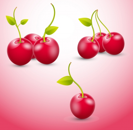 Cherry Vectorsのイラスト素材