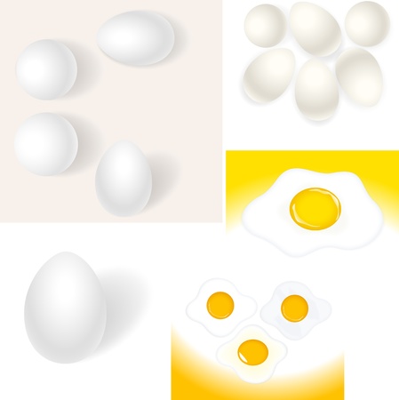 Eggs Vectorsのイラスト素材