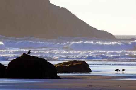 coast wavesの写真素材