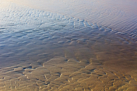 coast surface texture