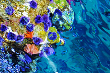 abstract under water backgroundの写真素材