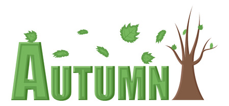 Autumn Vector Illustrationのイラスト素材