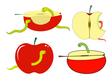 Apple Slices and Pieces with Wormのイラスト素材