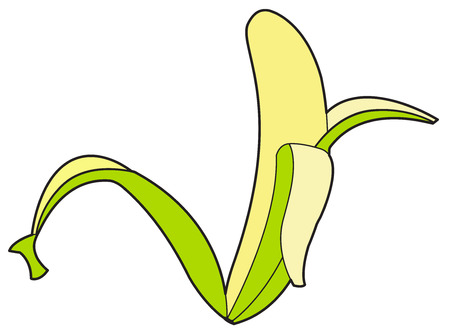 Peel Off Green Banana Vectorのイラスト素材