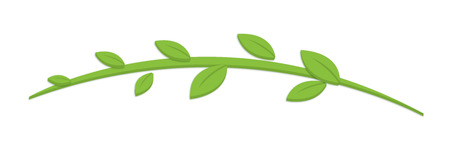 Nature Leaves Branchのイラスト素材