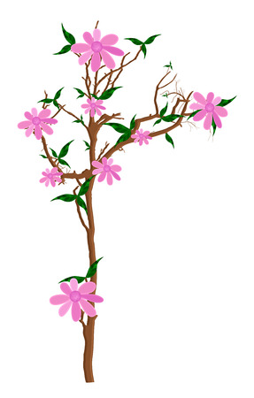 Pink Flowers Plant Illustrationのイラスト素材