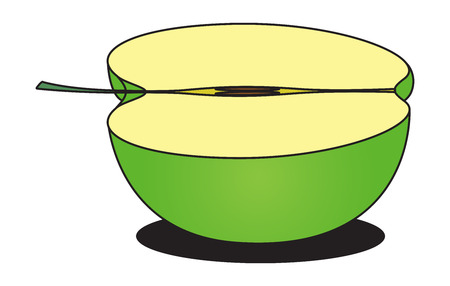 Green Apple Sliceのイラスト素材
