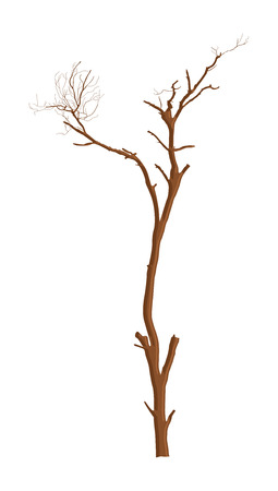 Dry Branchesのイラスト素材