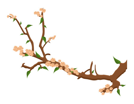 Winter Flowers Branchのイラスト素材