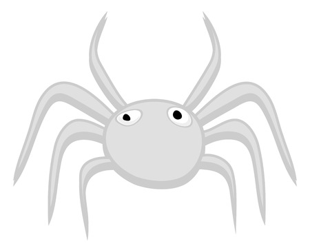 Spider Animalのイラスト素材