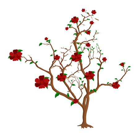 Red Flowers Tree Branchesのイラスト素材