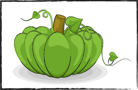Fresh Green Pumpkin Drawing Artのイラスト素材