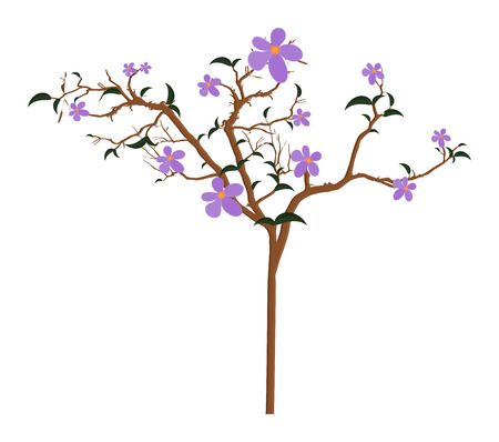 Nature Flowers Branchesのイラスト素材
