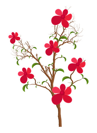 Decorative Flowers Plantのイラスト素材