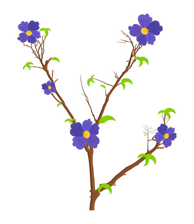 Nature Flowers Branches Vectorのイラスト素材