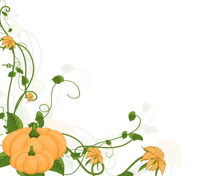 Decorative Flourish Pumpkinのイラスト素材